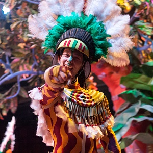 A young man dressed in fancy dress during carnival.