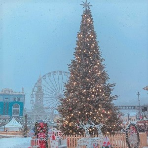 A decorated Christmas Tree.