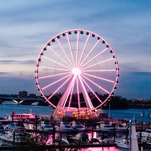 a majestic view of ferris wheel in the evening sky.